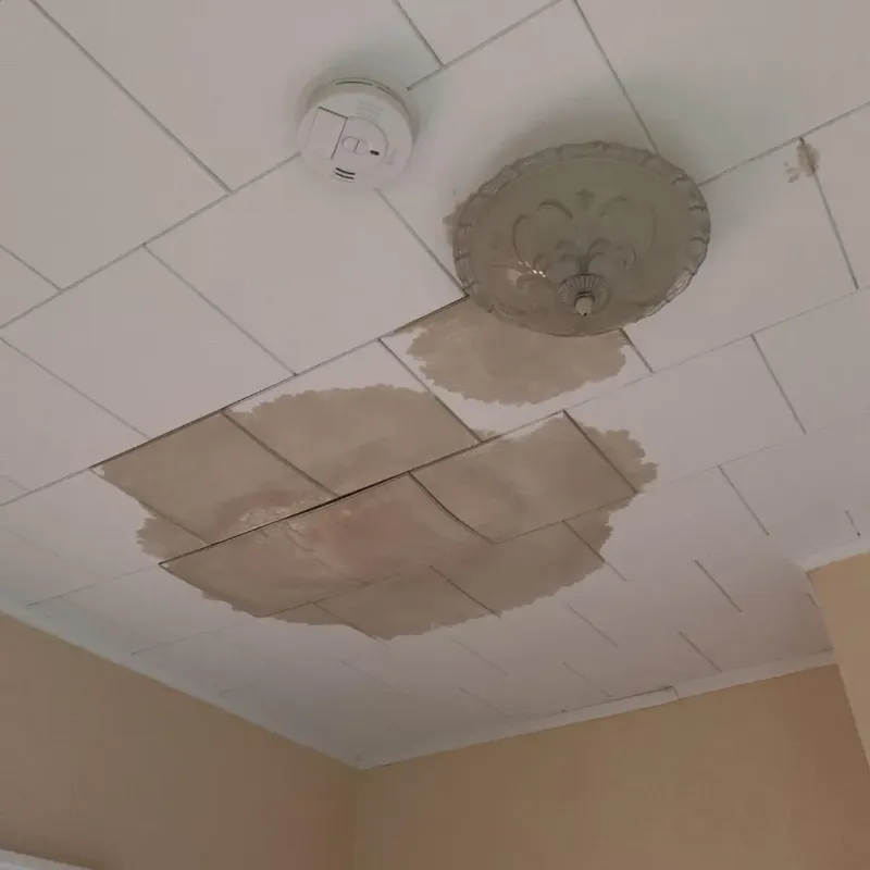Ceiling Water Damage Repair in Donaldsonville, LA